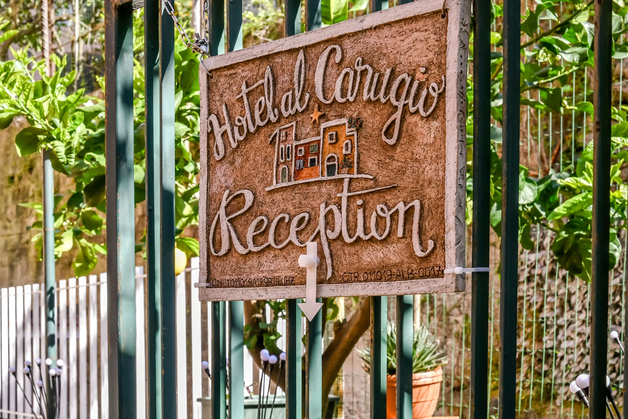 Al Carugio reception